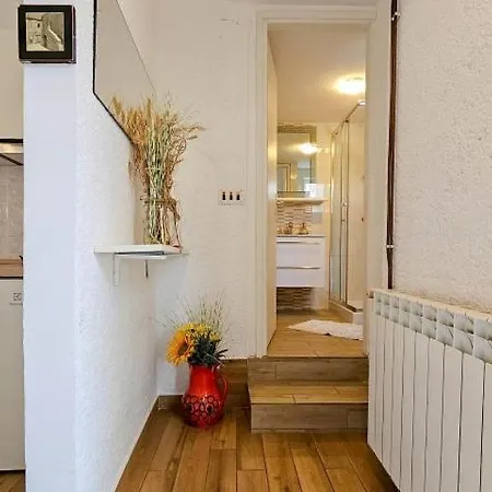 Ivanka Apartment Dajla